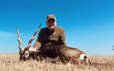 Blackbuck Antelope