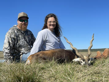 Blackbuck Antelope