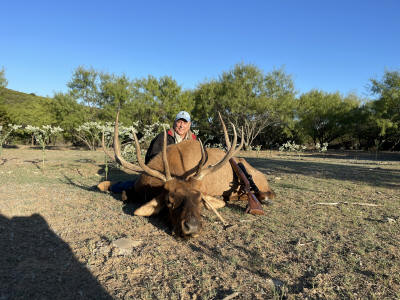 Large Elk 2